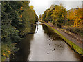 Rochdale Canal, Dicken Green