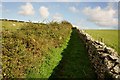 SD2873 : Bridleway - uphill section by Stephen Middlemiss