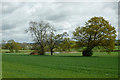 Farmland north of Dilwyn, Herefordshire