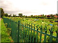 Netherstowe Allotment