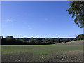 Farmland near Hawkley