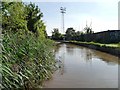 The Worcester and Birmingham Canal