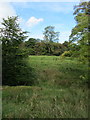 Looking towards Higgen Clough