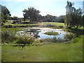 Pond on the edge of Woodford Golf Course #2