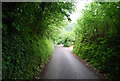 Descending Old Mill Lane