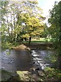 Stepping stones in the River Tame