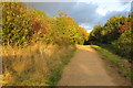 Path by Linslade Wood