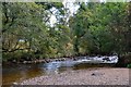 River Nethy near Nethy Bridge