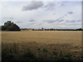 Farmland near Lower Shelton