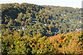 View to West Symonds Yat