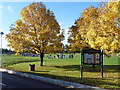 Autumn colour, John Billam Sports Ground