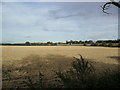 Farmland near Lower Shelton