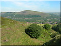 Warlow Brook Clough, Bank Top - Greenfield