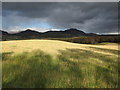 Fields near Catlodge