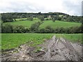 Footpath from High Coombe