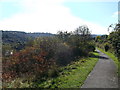 Footpath to Swallow Rise, Princes Park