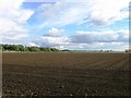 TL1747 : Fields at Beeston by Alex McGregor