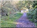 Wom Brook Walk Footbridge