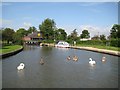 Grand Union Canal: Reach near Myton