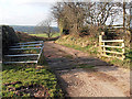 Cattle Grid on the way to the farm