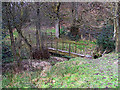 Footbridge in the woods