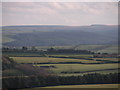 Evening mist over Hamsterley Forest