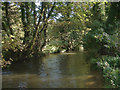 The Afon Cynffig, Pyle (2)