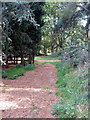 Bridleway towards the lane