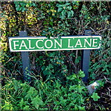 SO6739 : Falcon Lane sign by Jonathan Billinger