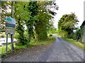 H7619 : Road at Toome by Kenneth  Allen