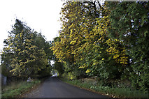 NH5762 : Autumn at Lemlair by Peter Moore