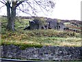 Ruined buildings, Crawleyside