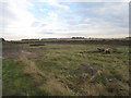 Former pit near Holme Wold House