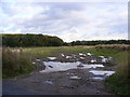 Footpath off Redisham Road