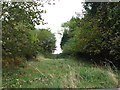 View through tree line to High Wood