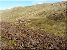 NN6932 : Heather and boggy ground on the west side of Creag Uchdag by Richard Law