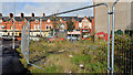 Vacant site, Beersbridge Road, Belfast (October 2012)