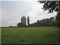 The view from the church car park, Lockington