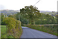 Minor road descending to the Afon Teifi