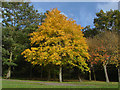 Goldsworth Park recreation ground