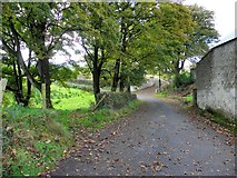 H5466 : Clogherny Road by Kenneth  Allen