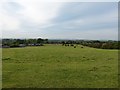 Fields and Broadview Farm