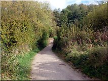 SK2549 : Carsington Water foot and cycle path by Graham Hogg