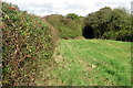 Bridleway from Stoke Road Farm towards Dorcas Lane