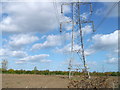 Pylon in a field, near Mucking