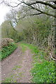 Byway to Tynewydd Farm