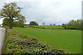 Pasture near Cefn-coch 