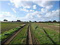 Bridleway to Blue Anchor Lane, near Mill House Farm