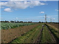 Coal Road to Station Road, near East Tilbury