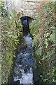 Paul stream at Mousehole